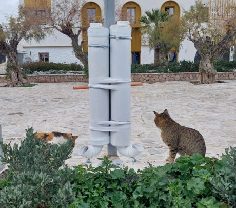Νέες ταΐστρες χωρίς γνώση και συνεργασία δεν αρκούν. Η αφαίρεση λειτουργικών ταϊστρών αφήνει κενά στη φροντίδα των ζώων.