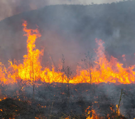 Πολύ υψηλός κίνδυνος πυρκαγιάς την Πέμπτη 30-7-2026 στην Περιφέρεια Νοτίου Αιγαίου, Π.Ε Κυκλάδων